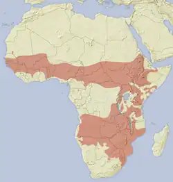 Areál rozšíření