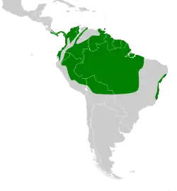 Areál rozšíření