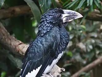 alternativní popis obrázku chybí