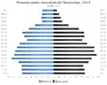 Demografická struktura města (2014)