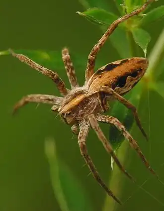alternativní popis obrázku chybí