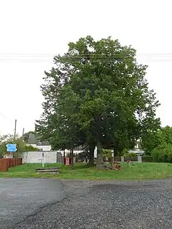 Náves s lípami, zvoničkou a minihřištěm