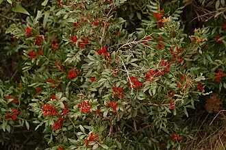 alternativní popis obrázku chybí