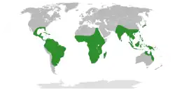 Areál rozšíření