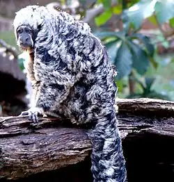 alternativní popis obrázku chybí