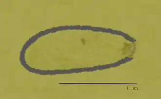 alternativní popis obrázku chybí