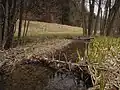 Potok na lokalitě Pivovařiska