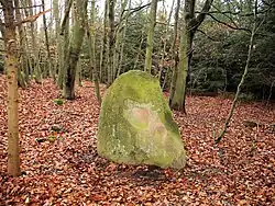Menhir na Pivovarské hoře