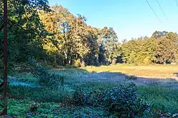 Pivovarský rybník ve Lvové