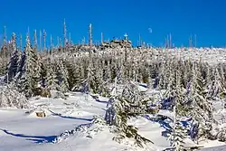 Pohled na vrchol Plechého v roce 2020