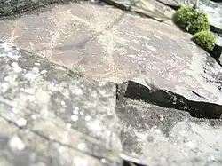 Ichnofosilie na Placaté skále