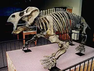 popis obrázku chybí