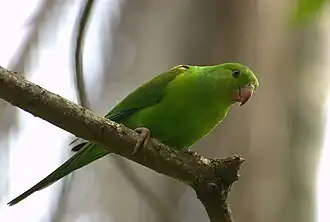 alternativní popis obrázku chybí