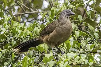 alternativní popis obrázku chybí