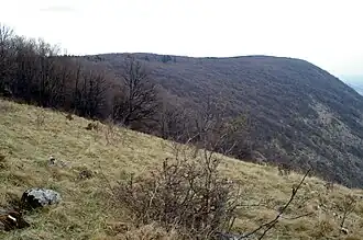 Severní svahy planiny