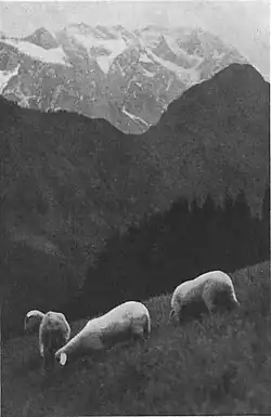 Planjava od severa 1933