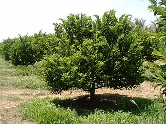 alternativní popis obrázku chybí