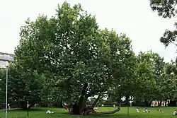 Celkový pohled v létě