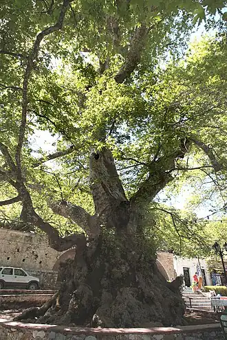 alternativní popis obrázku chybí