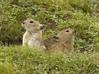 popis obrázku chybí