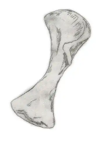 alternativní popis obrázku chybí