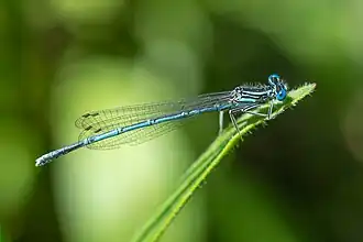 alternativní popis obrázku chybí