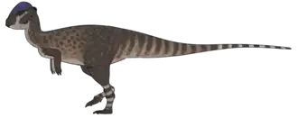 alternativní popis obrázku chybí