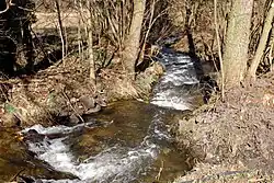 Potok v osadě Damice