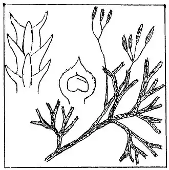 alternativní popis obrázku chybí