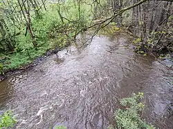 Plazský potok u Plazského Mlýna