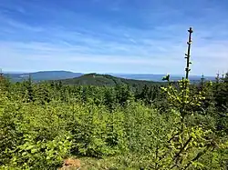 Pohled na Plešný z Chlumu