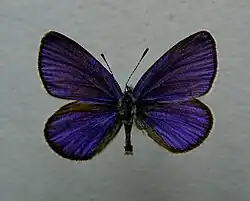 alternativní popis obrázku chybí