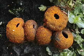 alternativní popis obrázku chybí