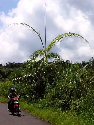 alternativní popis obrázku chybí