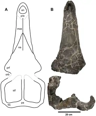 alternativní popis obrázku chybí