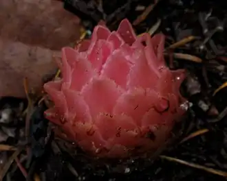 alternativní popis obrázku chybí