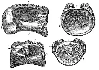 alternativní popis obrázku chybí