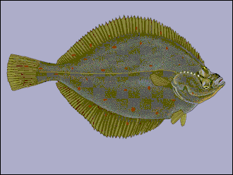 alternativní popis obrázku chybí