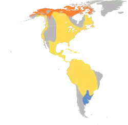 Areál rozšíření