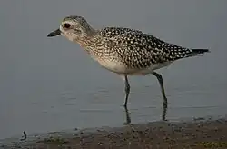 alternativní popis obrázku chybí