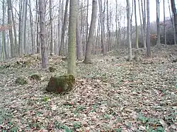 Terénní zbytky Záhoří