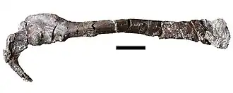 popis obrázku chybí