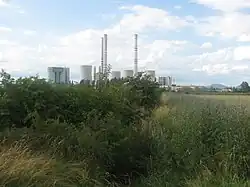 Zarostlé koryto Počeradského potoka, v pozadí Elektrárna Počerady