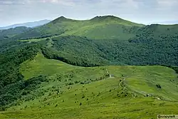 Hory s holými travnatými temeny a lesy na úbočí