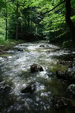 Konopišťský potok v Měsíčním údolí