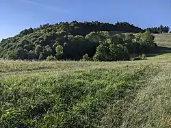 Požaha (518 m) - vrch u Jičiny na Novojičínsku s hradiskem, část chráněna v rámci PP Pod Požahou (2).jpg