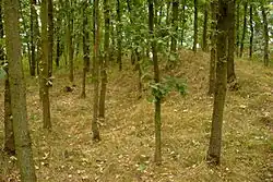 Hradní jádro s valem