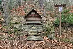 Foto: 7. března 2017