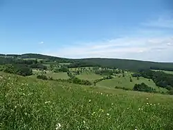 Pod Žitkovským vrchem