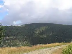 Podbělka od Sviní hory